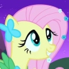 Fluttershy