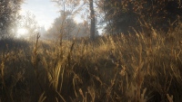 TheHunter Call of the Wild