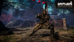 Samurai Simulator