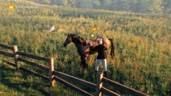 My Horse: Bonded Spirits