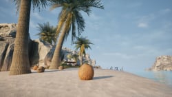 Coconut Simulator