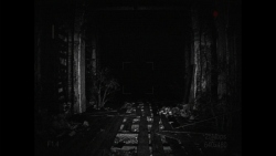 [REC] Desolation