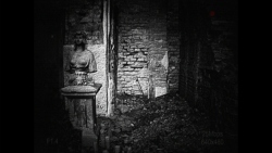 [REC] Desolation