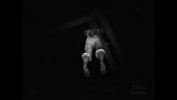 [REC] Desolation