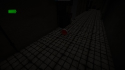 The Mirror's Edge