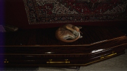 Burial (Погребение)