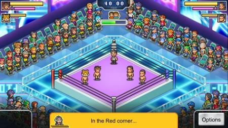 Pro Wrestler Story