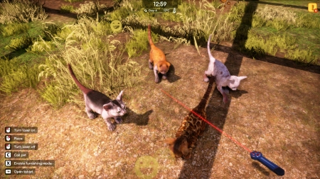 Animal Shelter 2