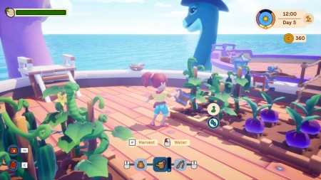 Collector's Cove
