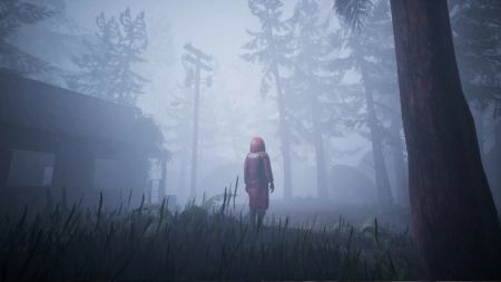 Veil of the Skies
