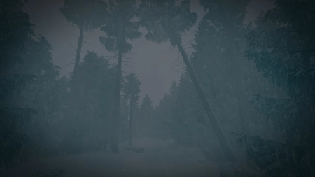 The Last Ski Trip