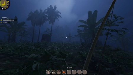 Island Notes
