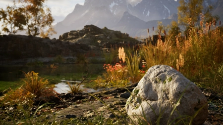 Stone Simulator
